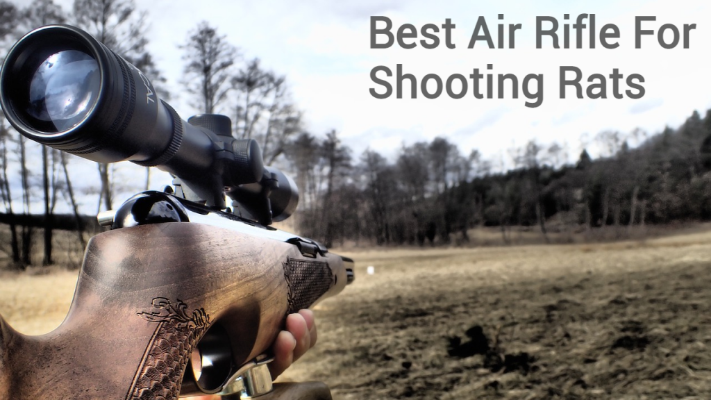 best-air-rifle-pellet-gun-for-shooting-rats-july-2024-updated